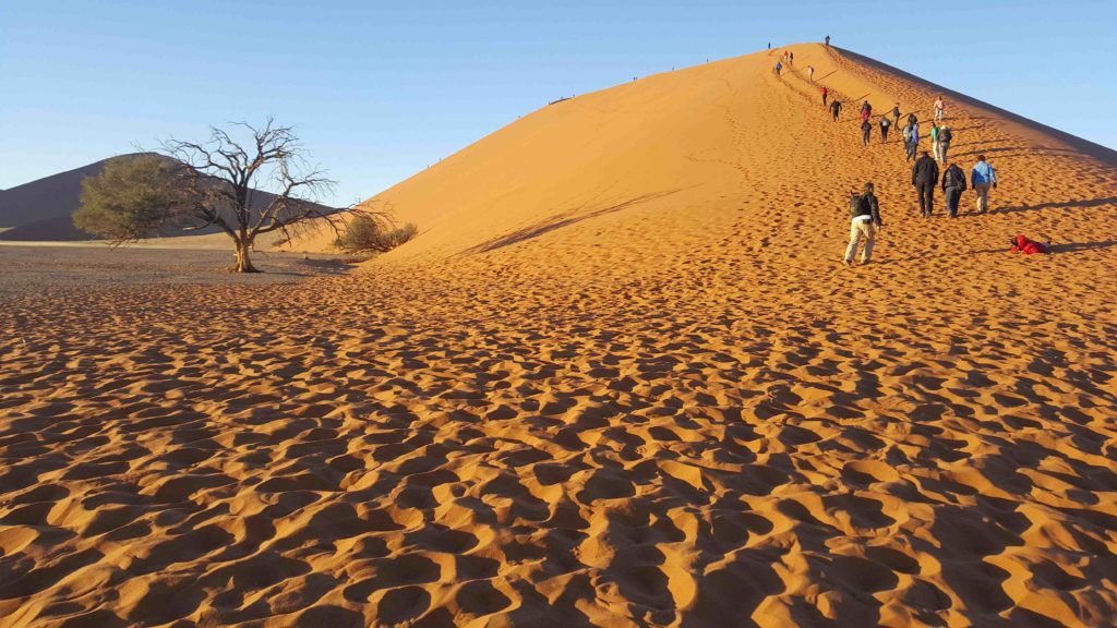 Deserto del Namib, Sossusvlei, Duna 45, Namibia