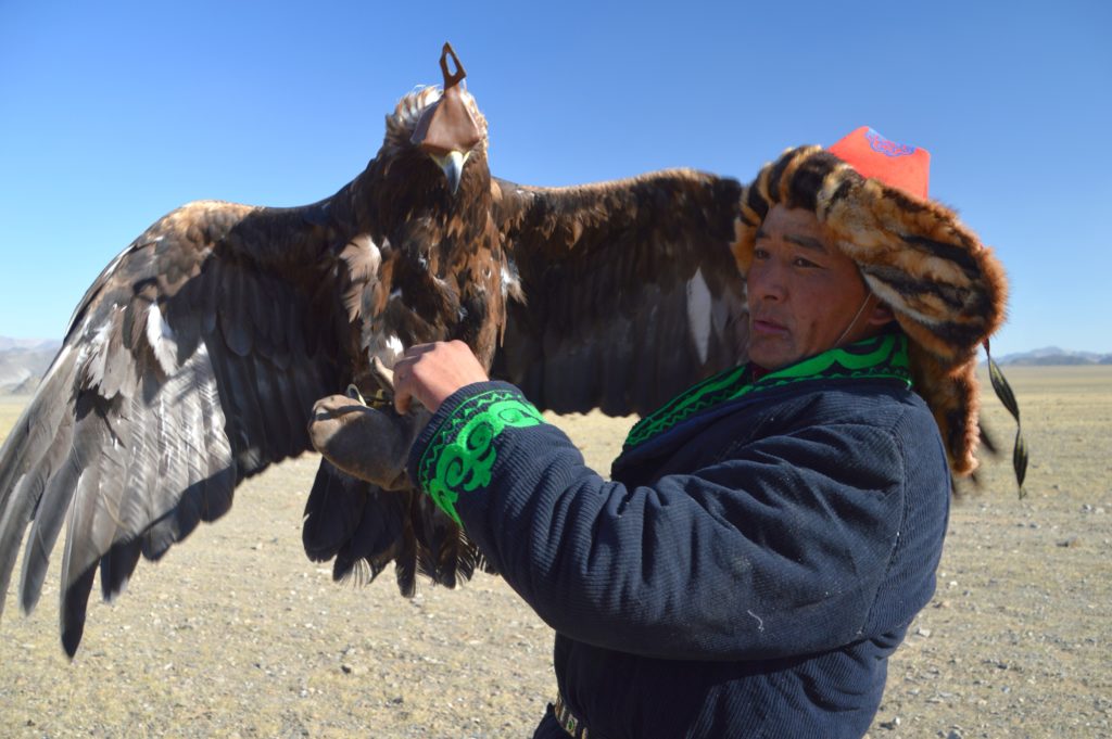 Eagle Festival, cacciatore di aquile, Mongolia