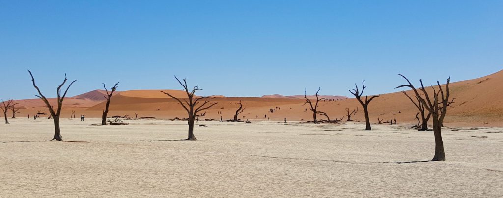 Deserto del Namib, Sossusvlei, Namibia