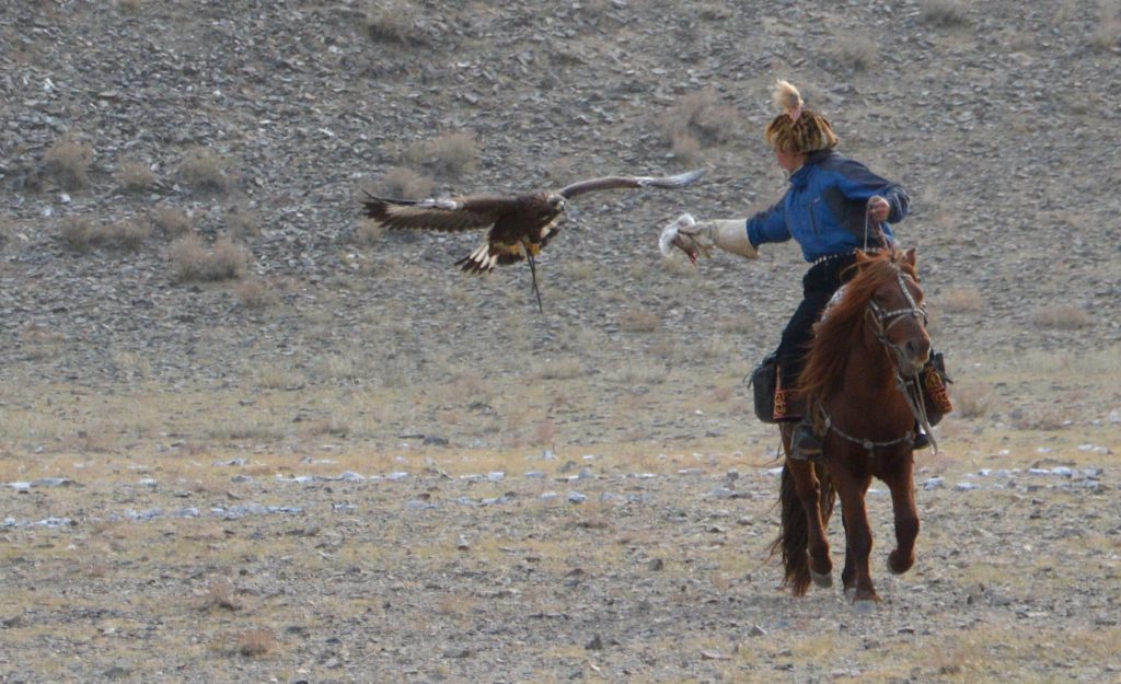 Eagle Festival, cacciatore di aquile, Mongolia