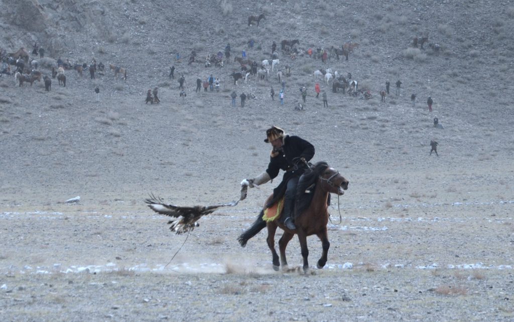 Eagle Festival, cacciatore di aquile, Mongolia